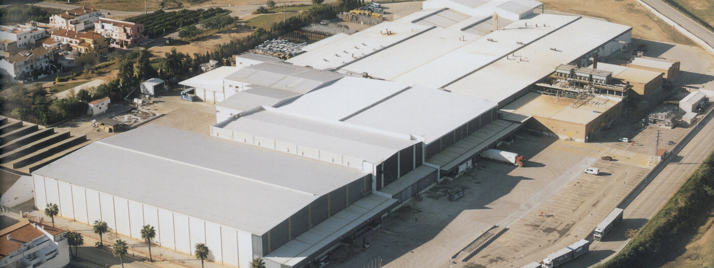 Ardo Benimodo plant