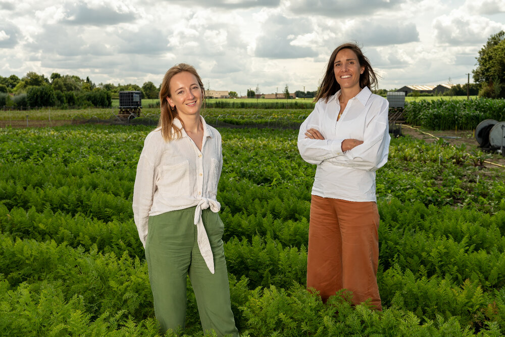 Tean sustainability 