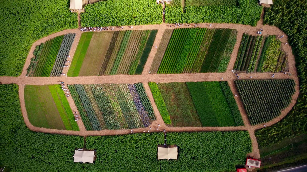 Ardo let's meet in the field aftermovie part 1