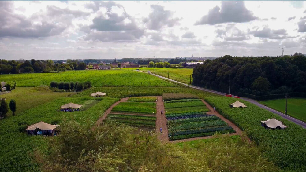 Ardo Let's meet in the field 2023 sustainability