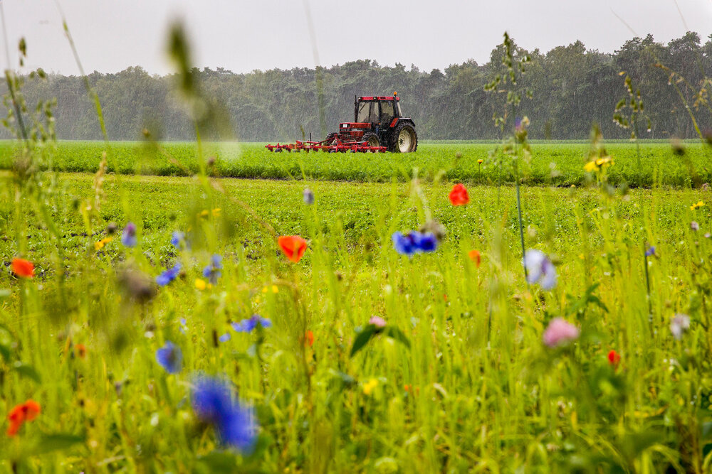 Ardo sustainable agriculture