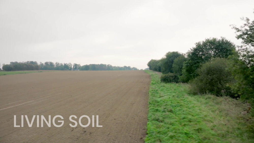 MIMOSA+ movie: living soil