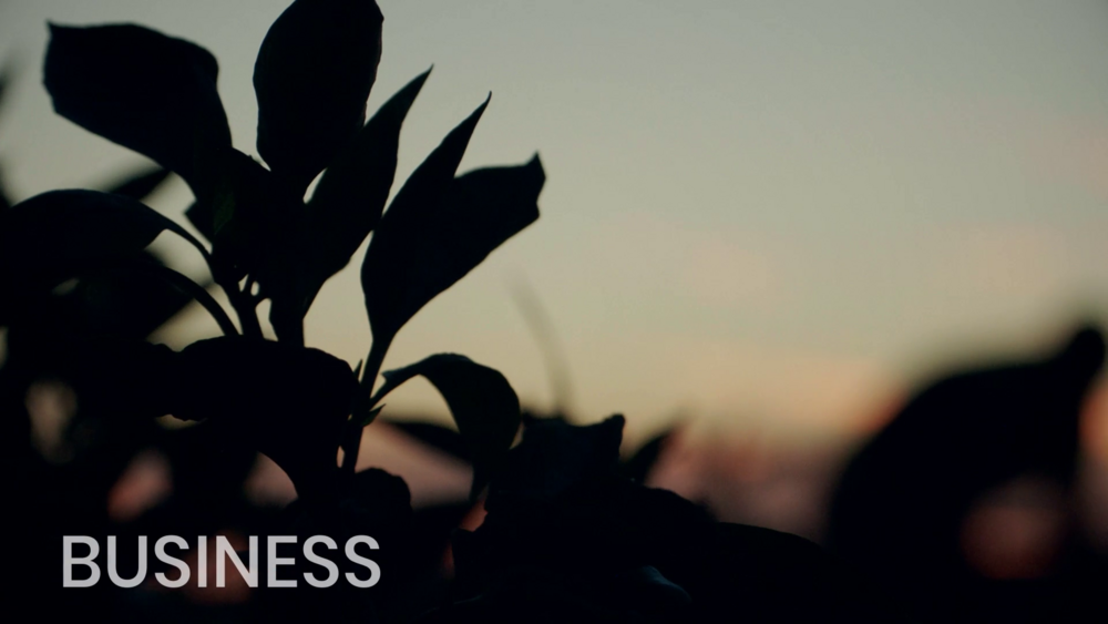 MIMOSA+ business with farmers