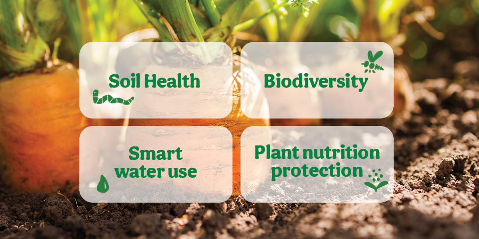 soil_health_Ardo.png