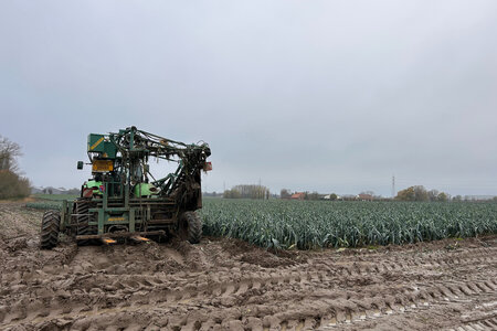 Ardo Agro report October 2025