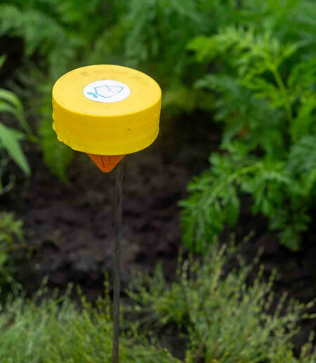 Ardi innovations in regenerative agriculture