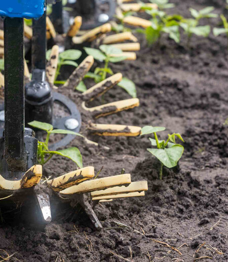 Ardo Innovations in Regenerative Agriculture