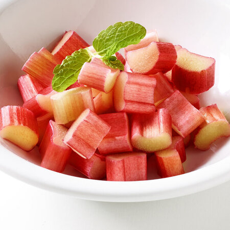 Rhubarb_Ardo