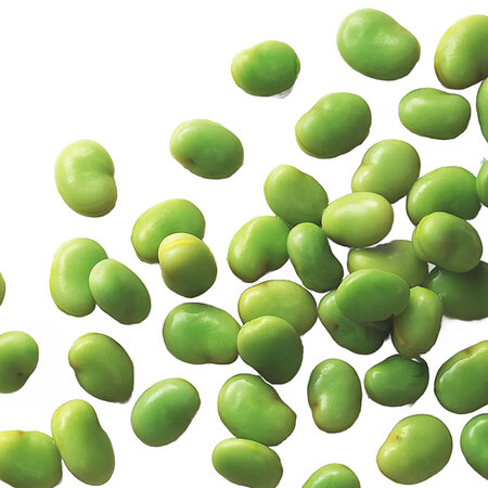 Broad beans fine ardo
