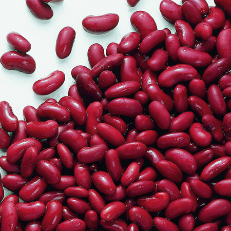 Ardo red kidney beans